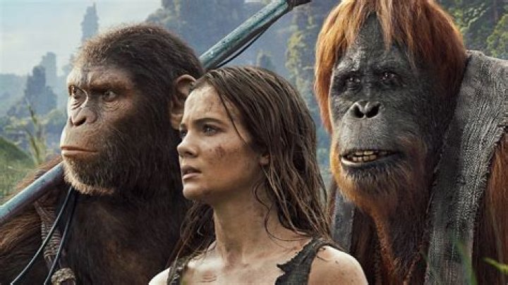 Are apes scared of humans?