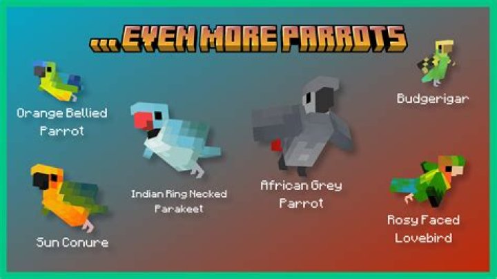 Are cookies poisonous to parrots in Minecraft?