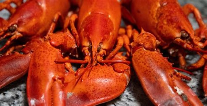 Are crabs boiled alive?