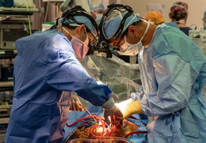 Are heart surgeons rich?