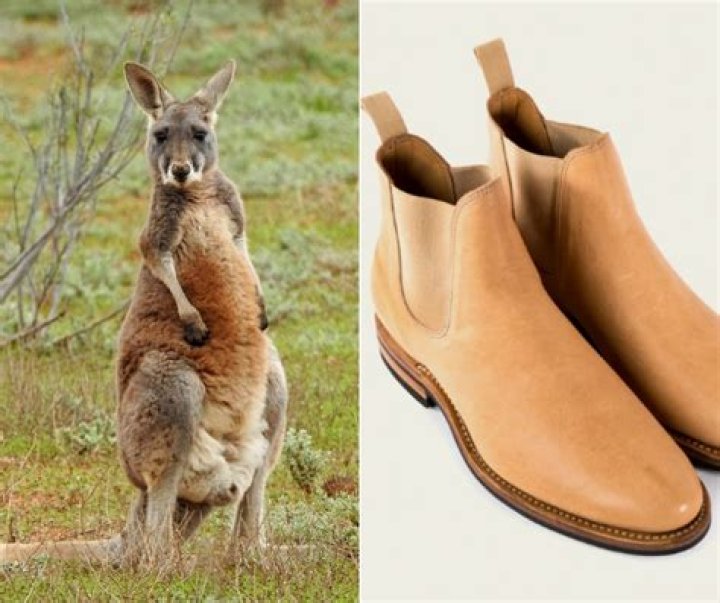 Are kangaroo leathers any good?