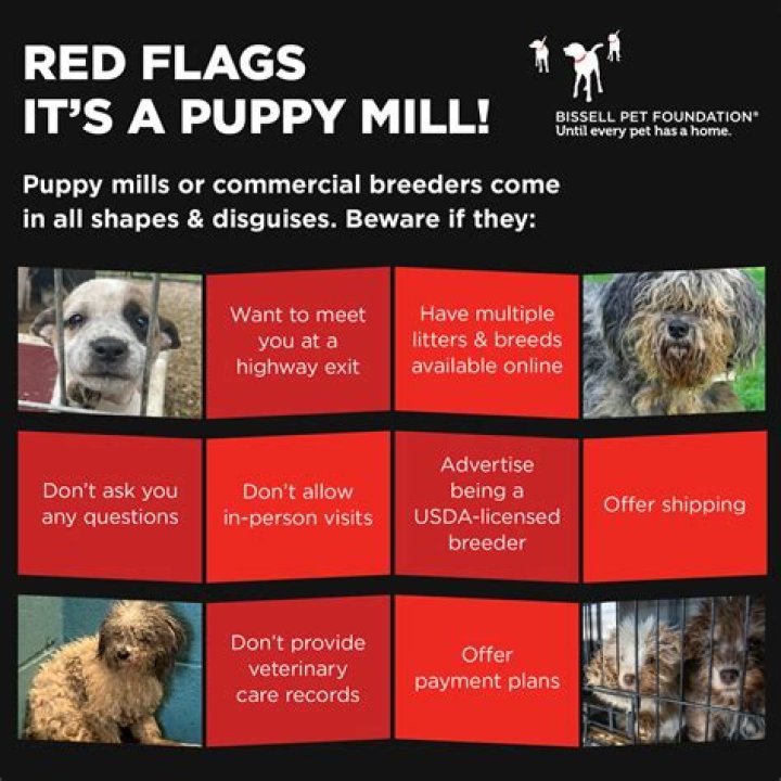 Are puppy mills real?