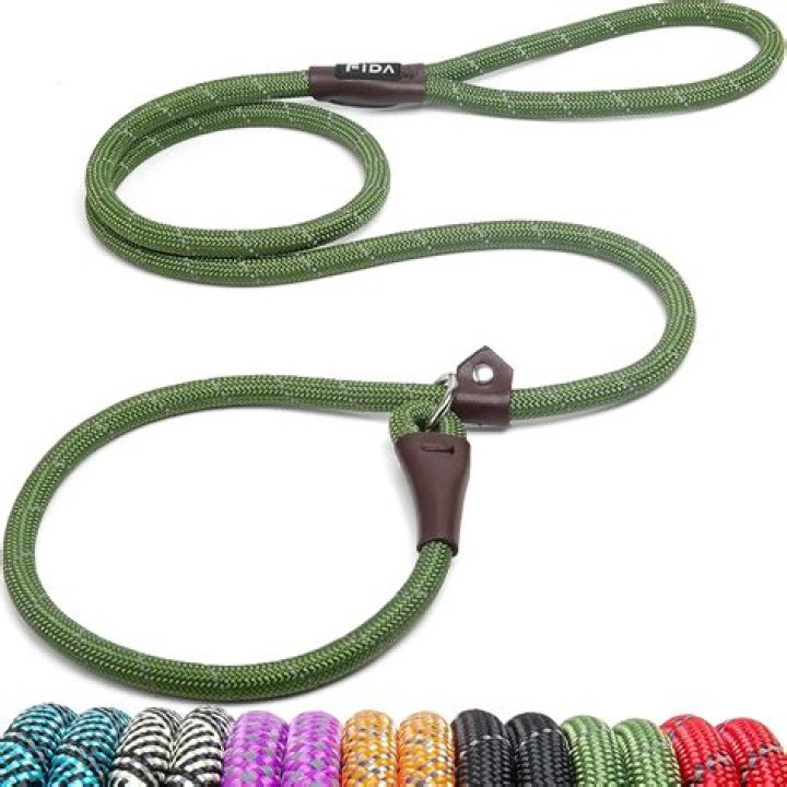 Are rope leash good for dogs?
