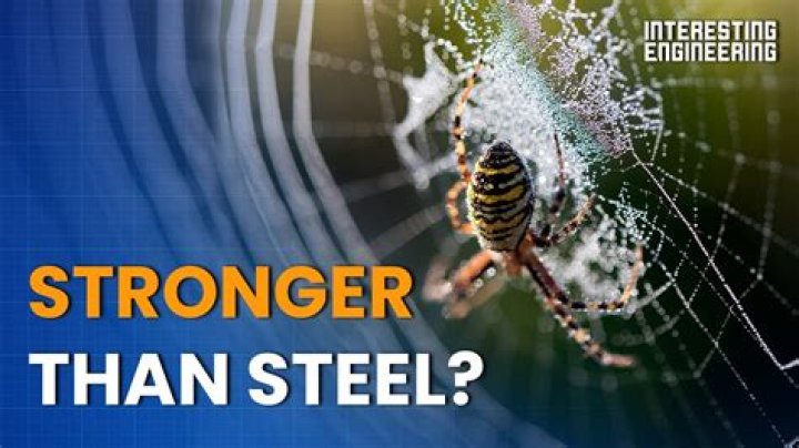 Are spiderwebs stronger than steel?
