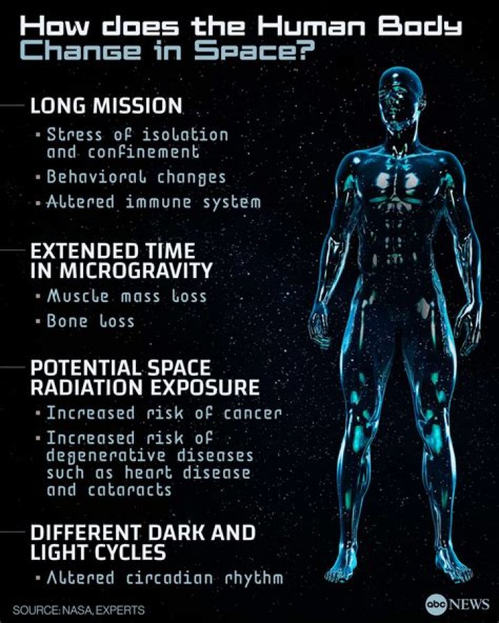Are there any bodies in space?
