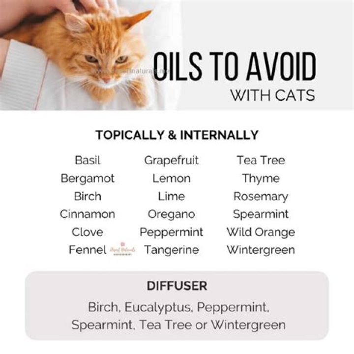 Are there any essential oils that are bad for cats?