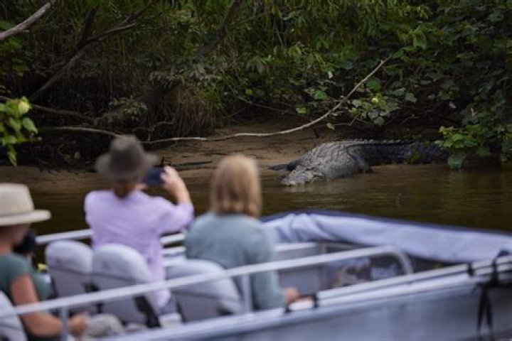 Are there crocs in the Daintree River?
