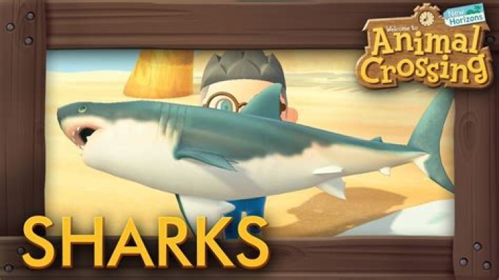 Are there sharks in Animal Crossing?
