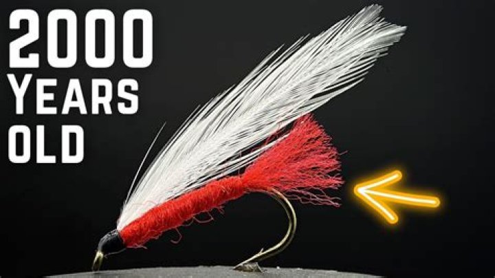 Can a 2 year old fly for free?