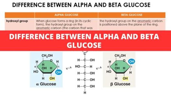 Can a beta and Alpha mate?