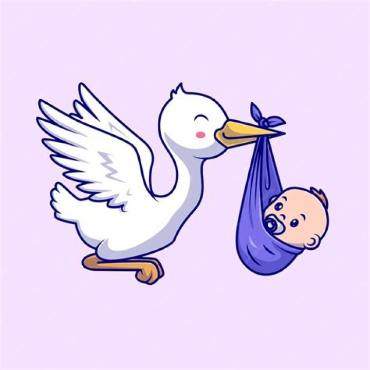 Can a bird bring down a jet?