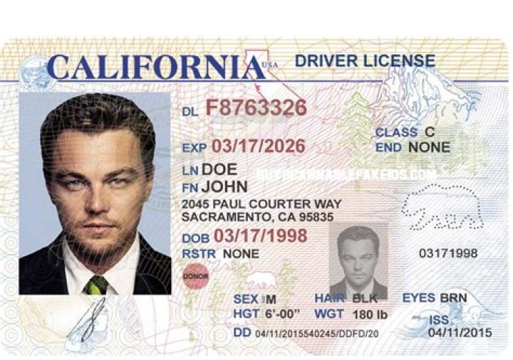 Can a named driver be the main driver?