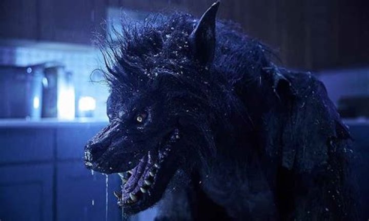 Can a werewolf have a human mate?