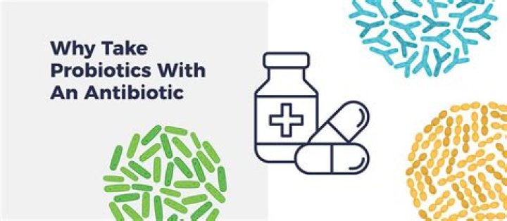 Can antibiotics and probiotics be taken at the same time?