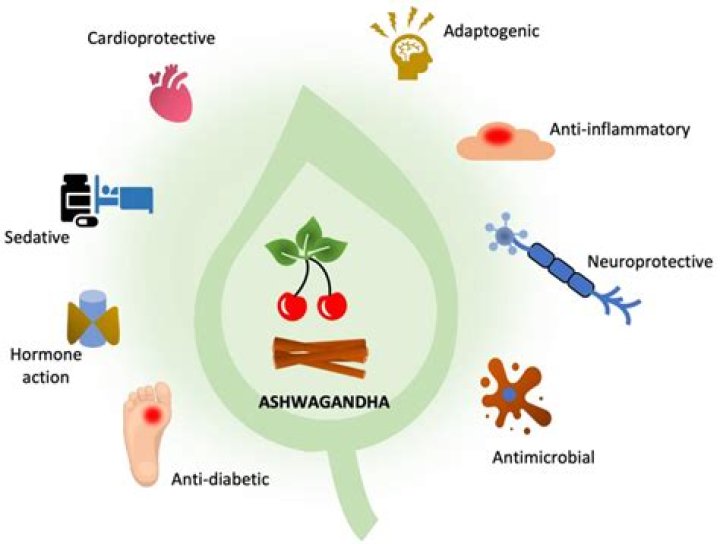 Can ashwagandha cause hypothyroidism?