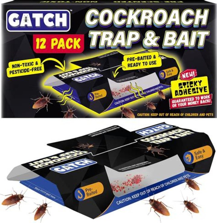 Can baby roaches be black?
