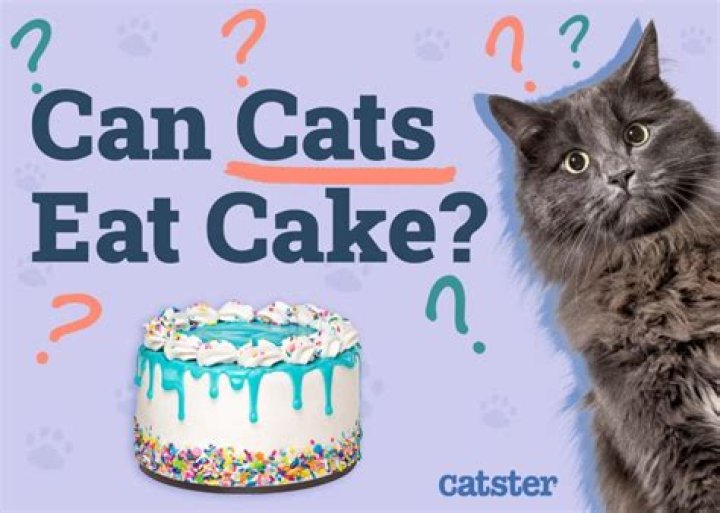 Can cats eat cake?