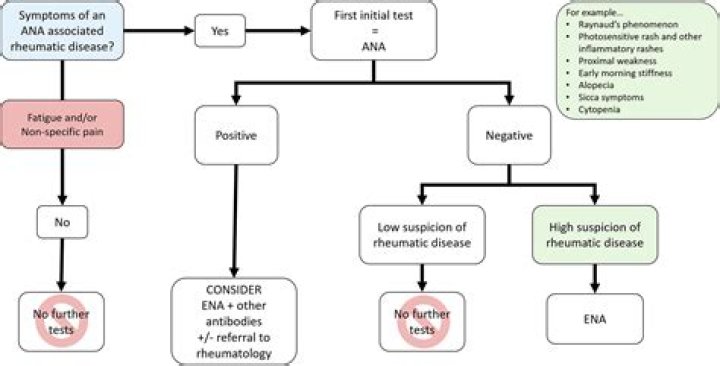 Can Covid cause elevated ANA titer?