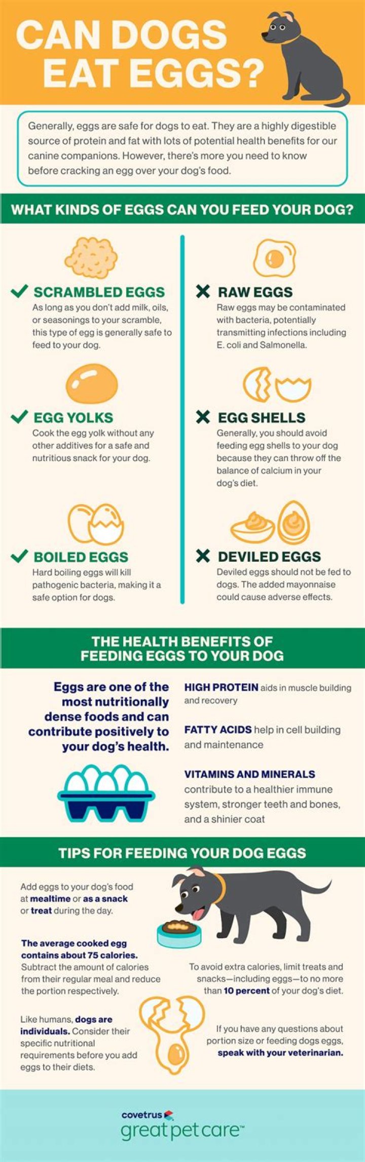 Can dogs eat egg?