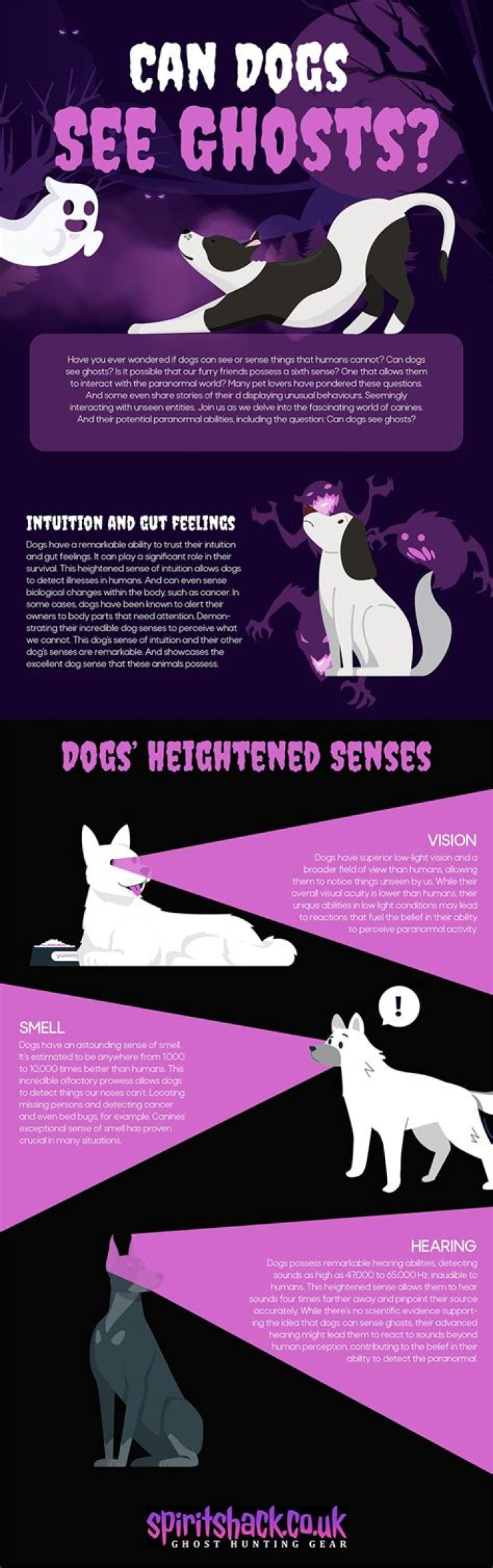Can dogs sense intrusive thoughts?