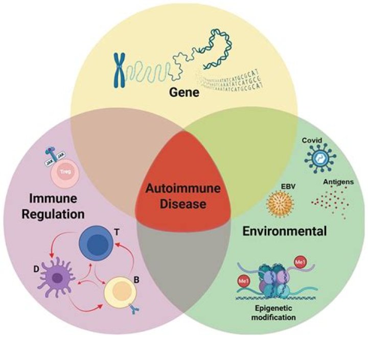 Can environmental factors causing autoimmune disease?