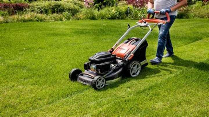 Can I cut my lawn 2 days in a row?