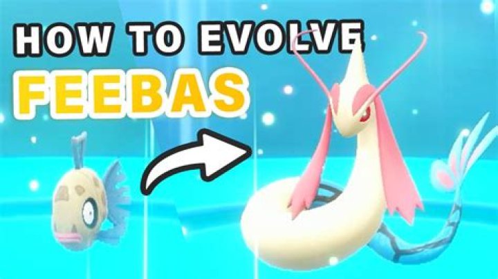 Can I evolve Feebas with bold nature?