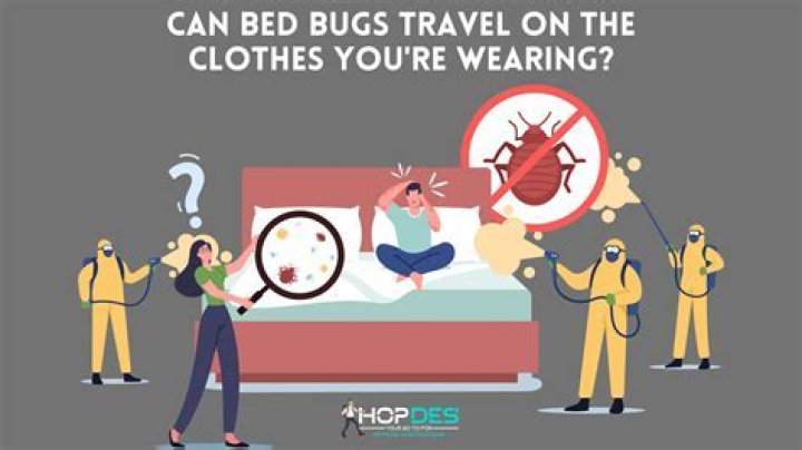 Can I get bed bugs from hugging someone?