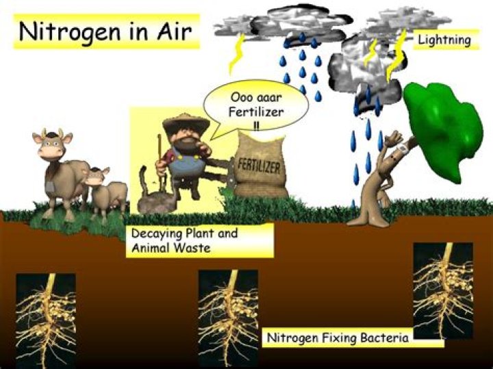 Can I put nitrogen in my tires myself?