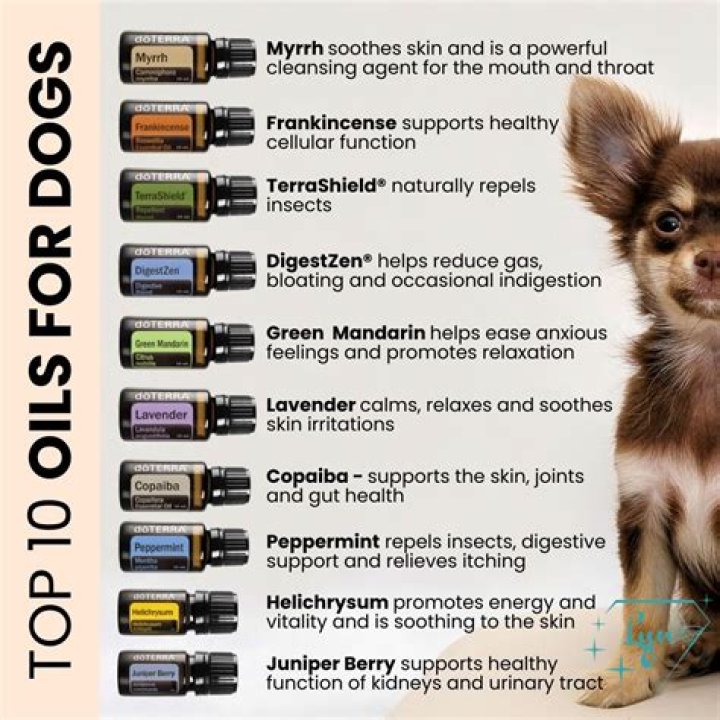Can I sell doTERRA on my online store?