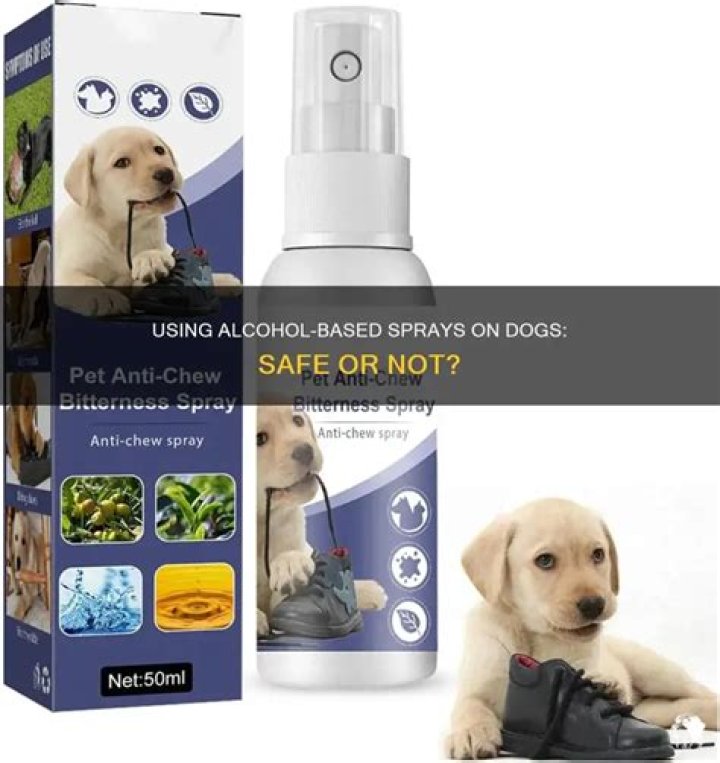 Can I spray alcohol on my dog?