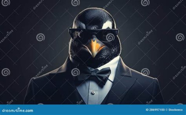 Can I use celebrity photos for NFT?