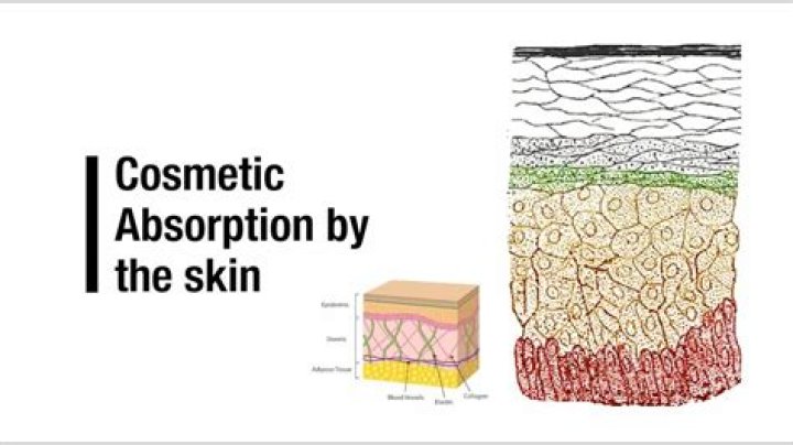 Can isopropyl alcohol be absorbed through the skin?