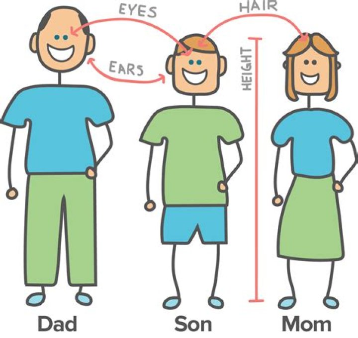Can lupus be passed down from parents?