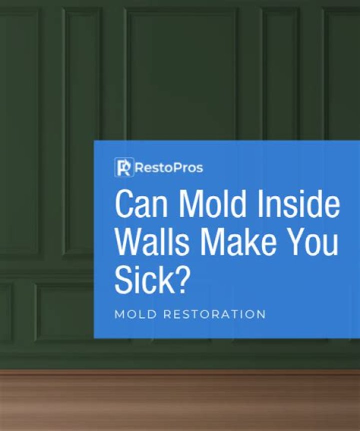 Can mold behind walls make you sick?