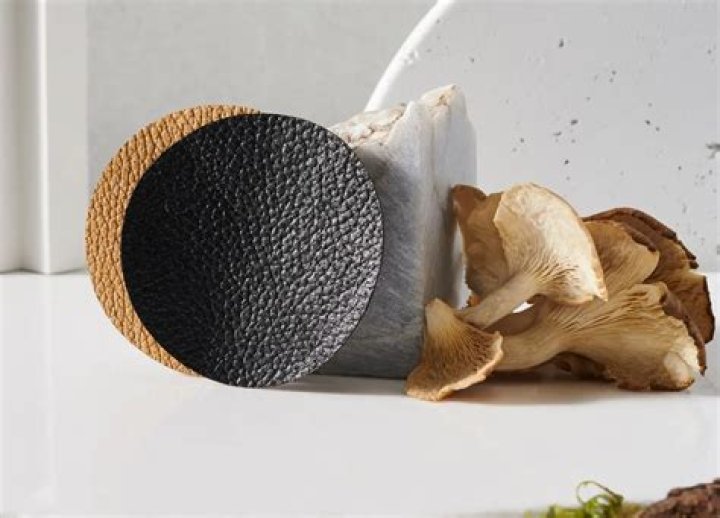 Can mushroom leather be dyed?