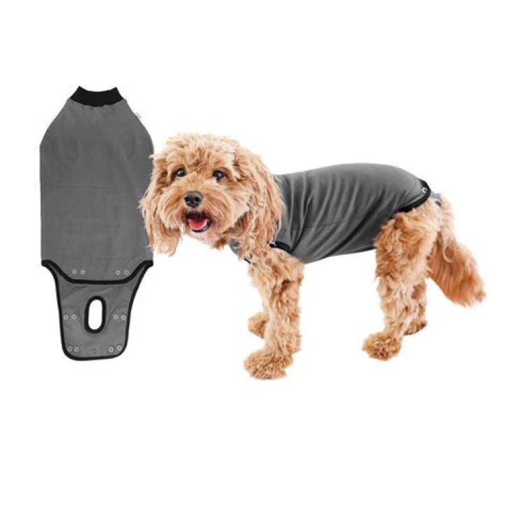 Can my dog wear a shirt instead of a cone?
