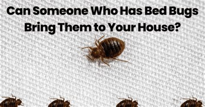 Can my friend bring bed bugs to my house?