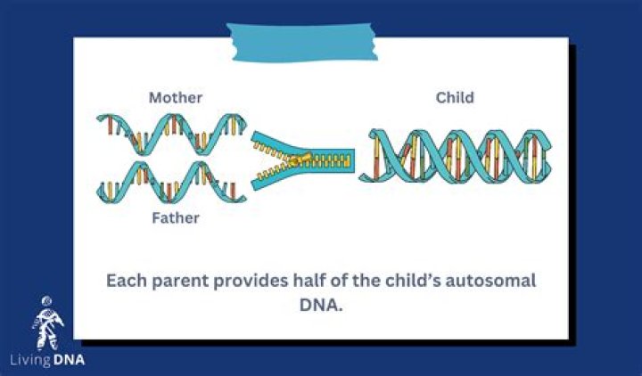 Can OCD be passed from parent to child?