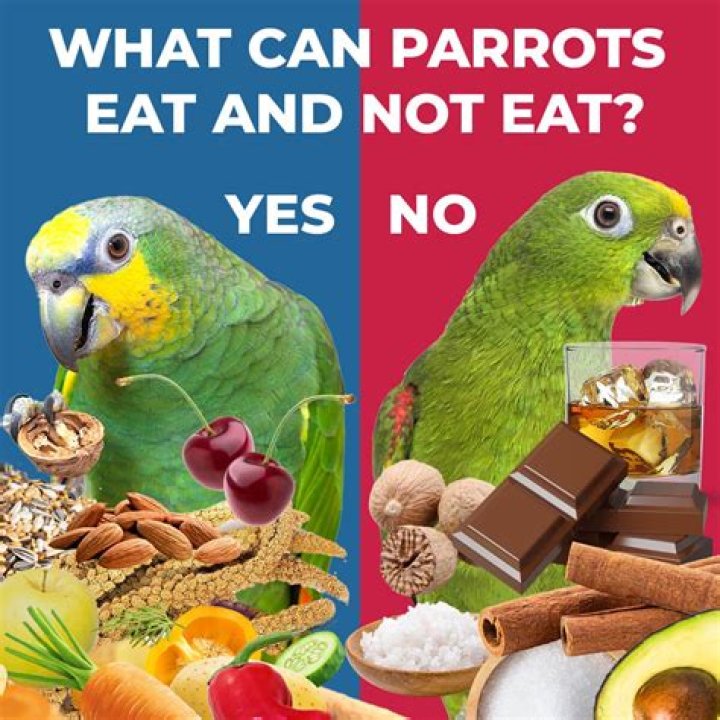 Can parrots eat strawberry leaf?