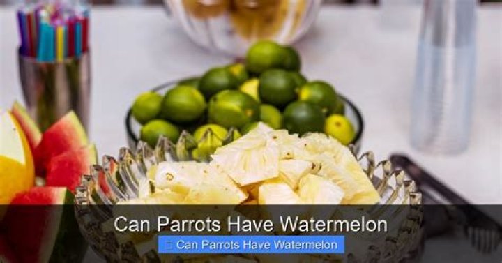 Can parrots have watermelon?