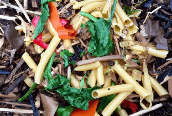Can pasta be composted?