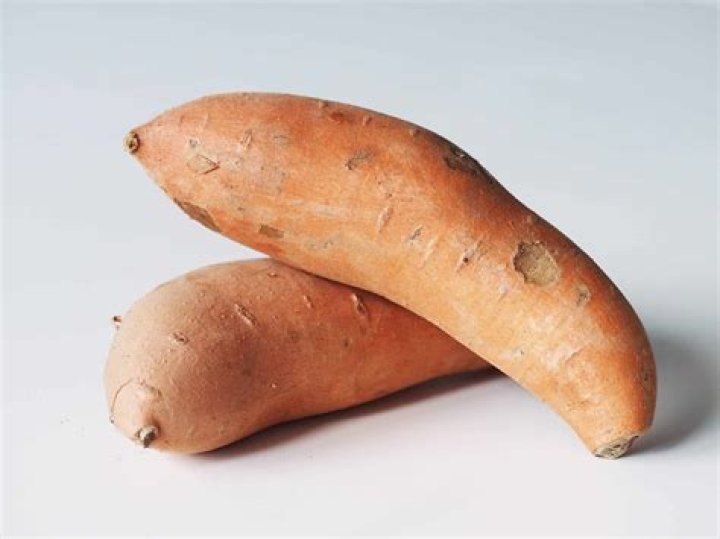 Can rats eat sweet potato?