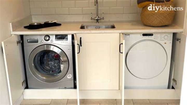 Can rats get into washing machine?