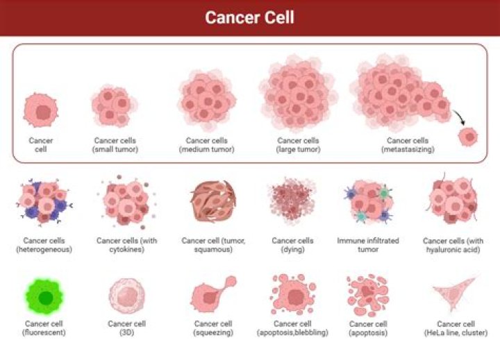 Can scar tissue show up as cancer?