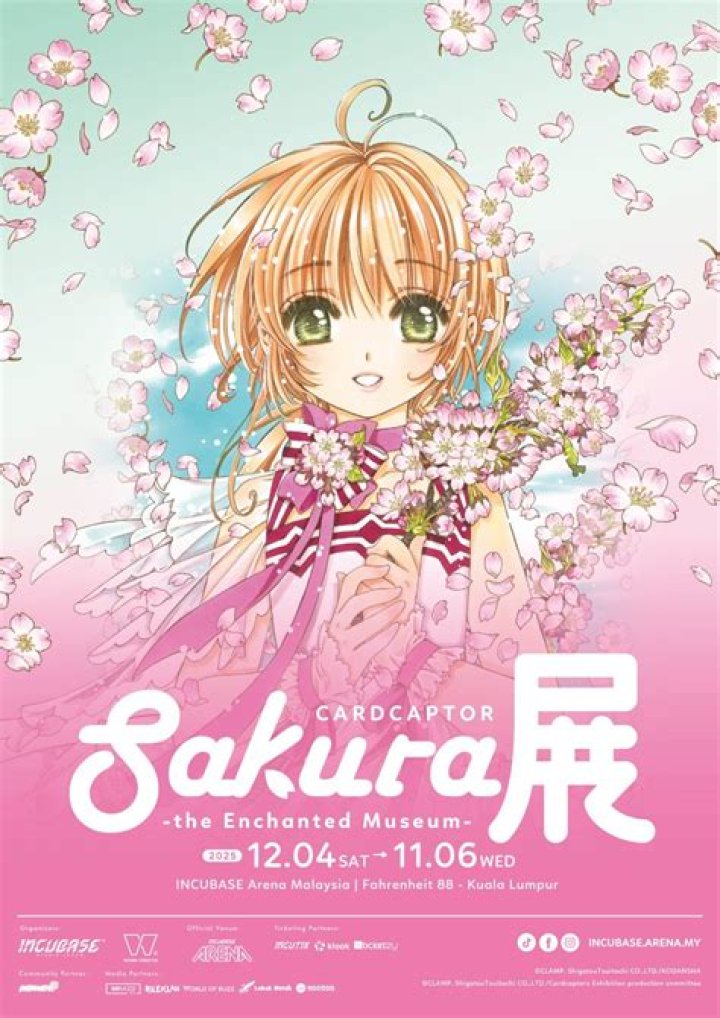 Can Shino beat Sakura?