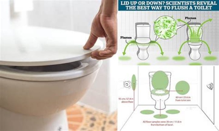 Can spiders survive being flushed down the toilet?