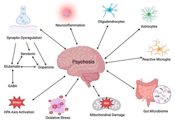 Can stress bring on psychosis?