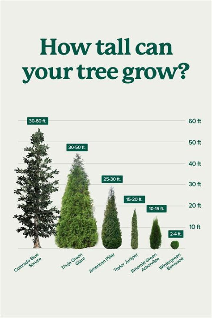 Can trees get sad?