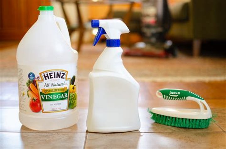 Can vinegar keep rats away?